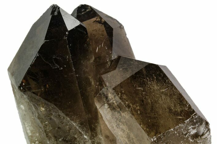 Dark Smoky Quartz Crystal Cluster - Brazil #109243